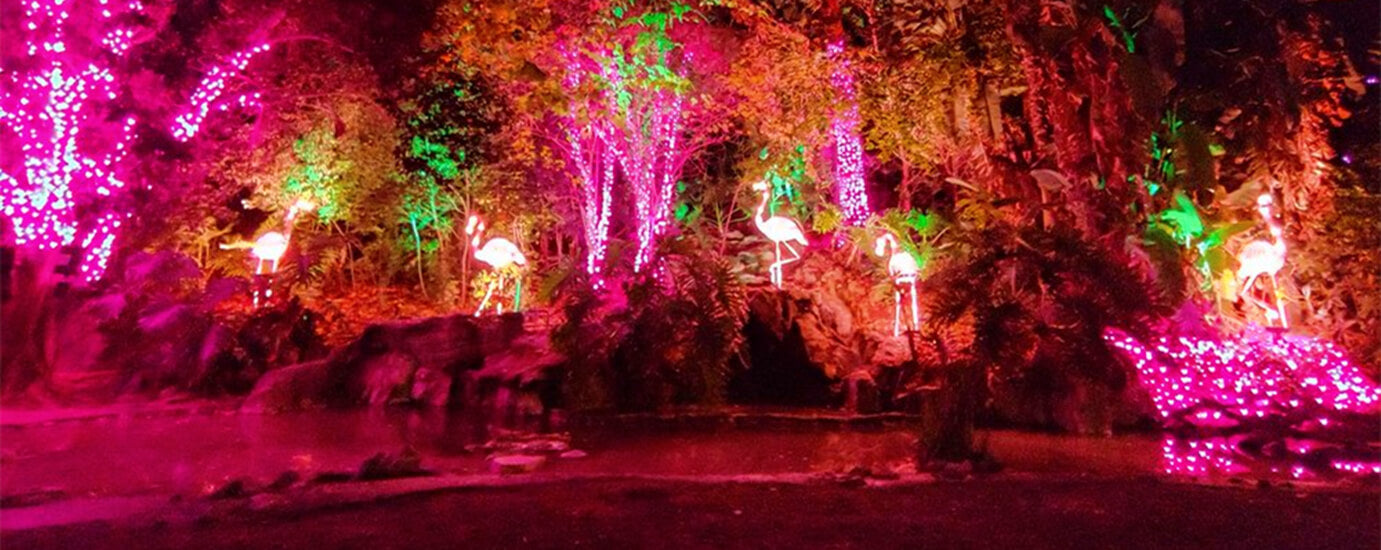 Zoo Lighting Application