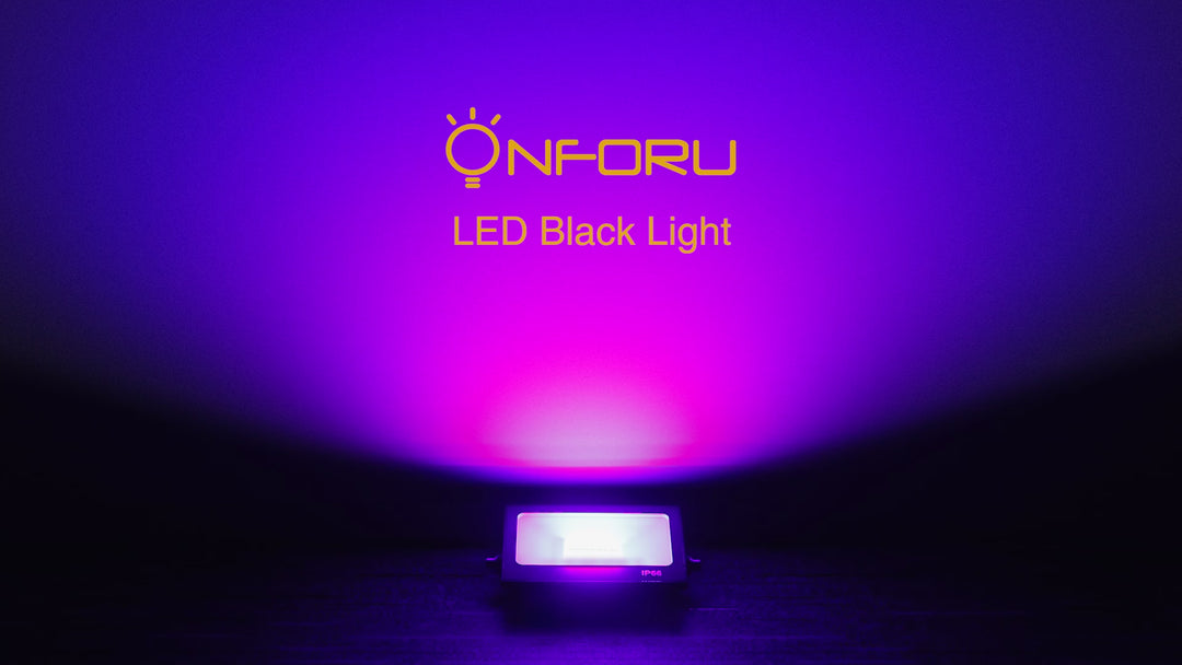 Onforu 20W LED Black Flood Light FG99 for EU Plug