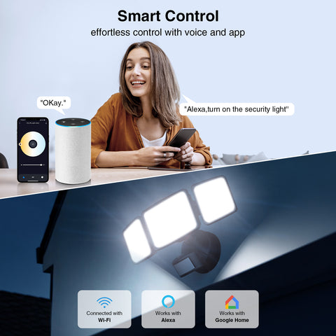 WIFI Control & Voice Control Motion Detector Lights