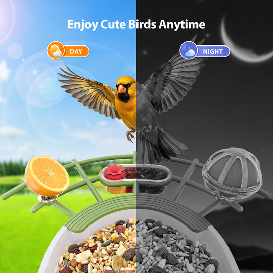 Onforu Smart Bird Feeder with Camera