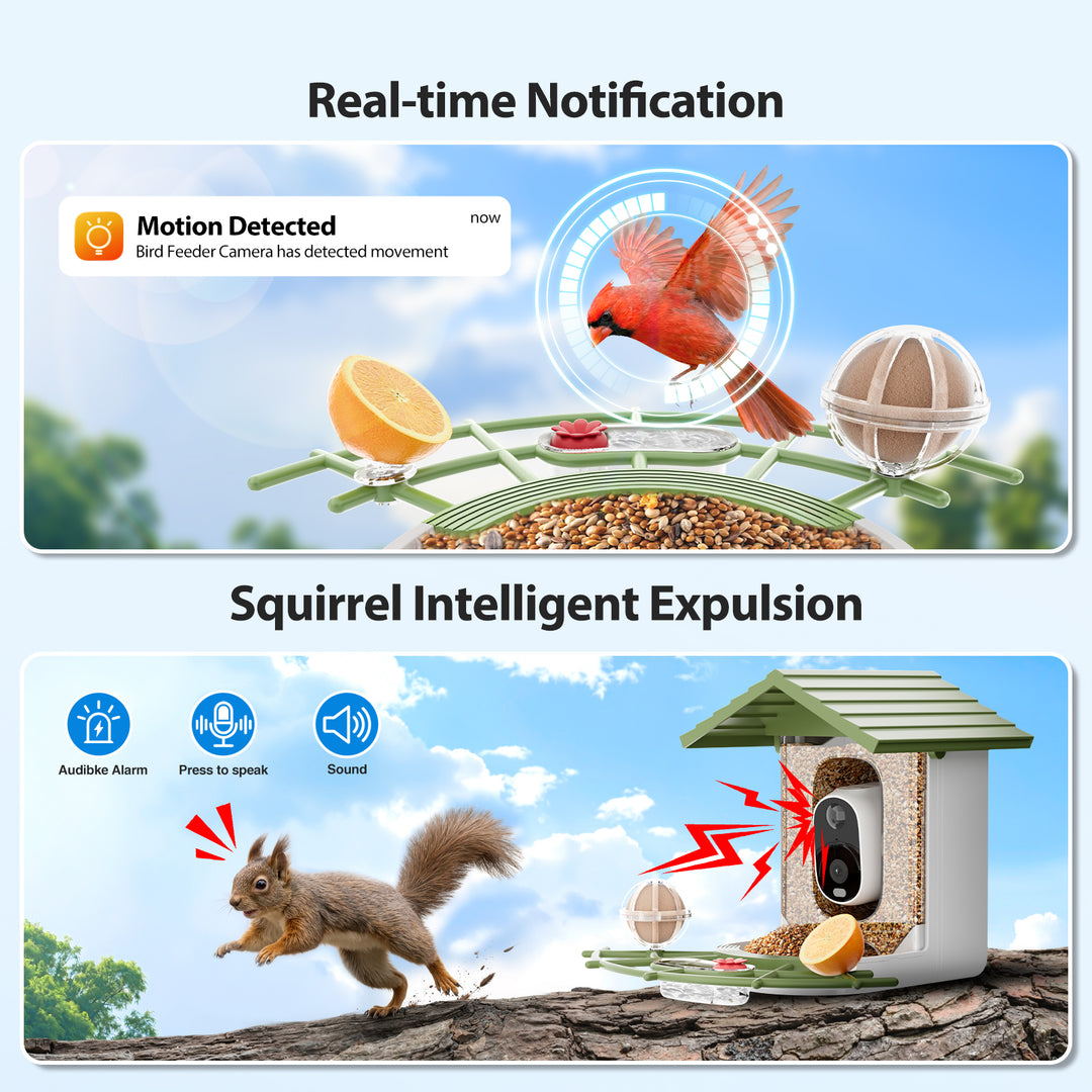 Onforu Smart Bird Feeder with Camera