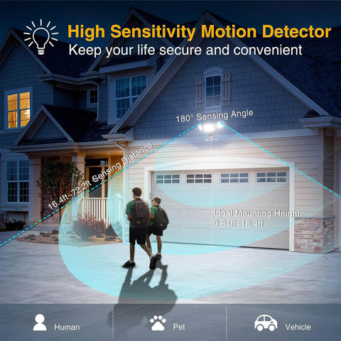 High Sensitivity Motion Detector